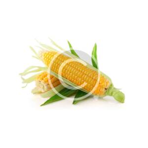 Sweet Zea (Corn)